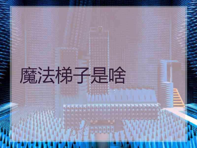 魔法梯子是啥