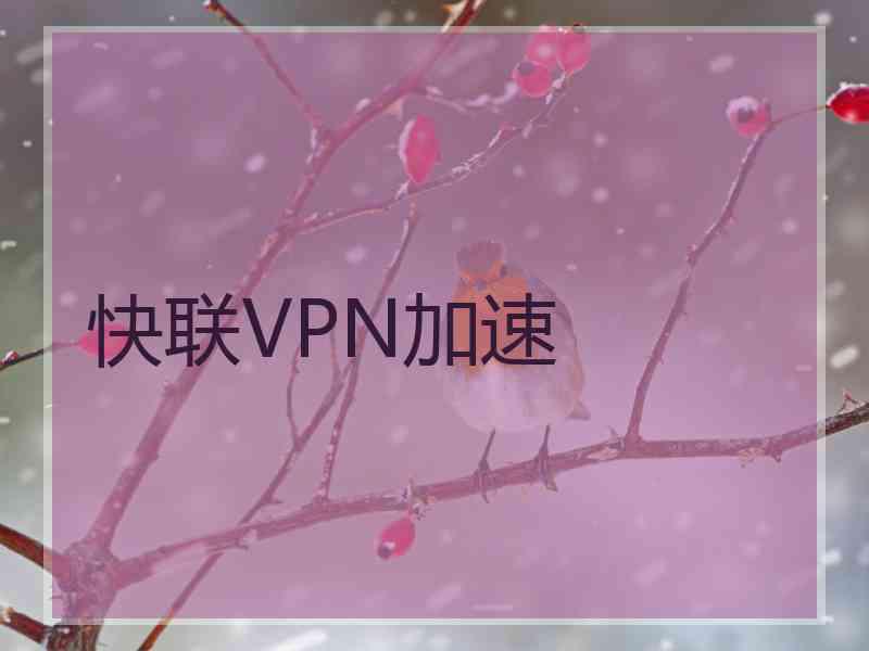 快联VPN加速
