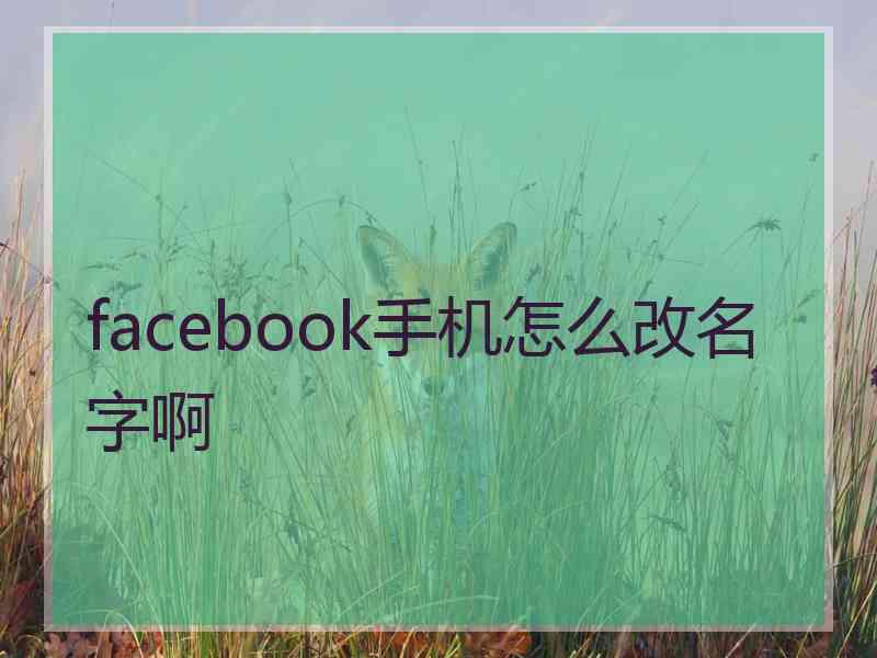facebook手机怎么改名字啊