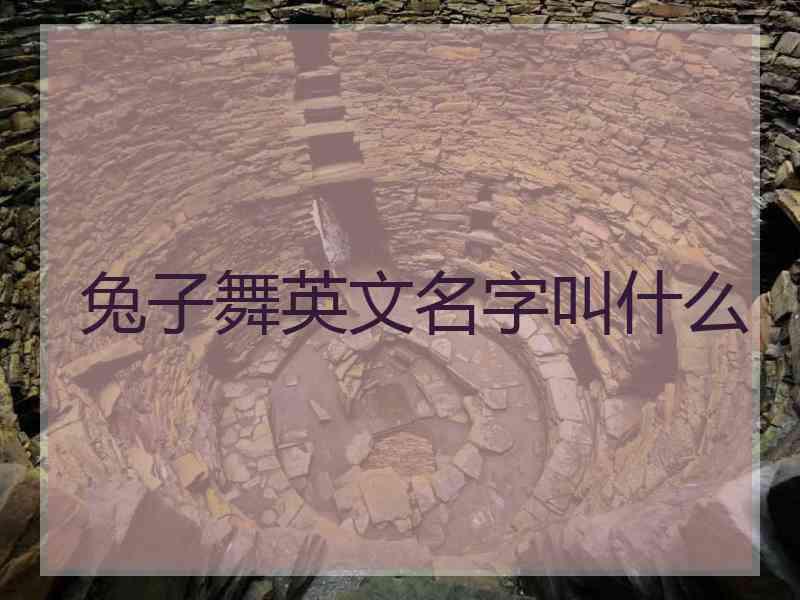 兔子舞英文名字叫什么
