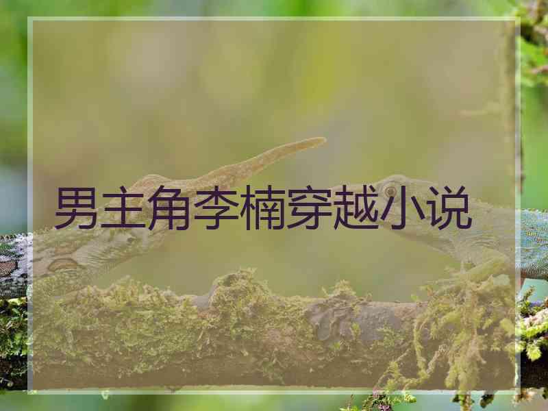 男主角李楠穿越小说