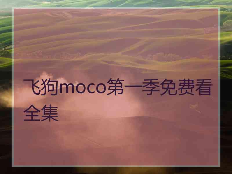 飞狗moco第一季免费看全集