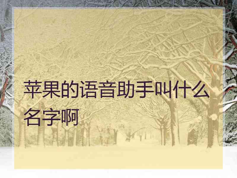 苹果的语音助手叫什么名字啊