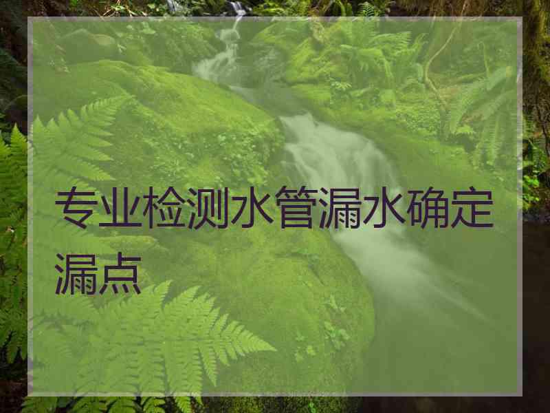 专业检测水管漏水确定漏点