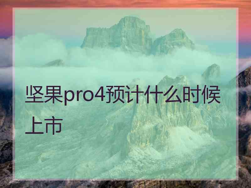 坚果pro4预计什么时候上市