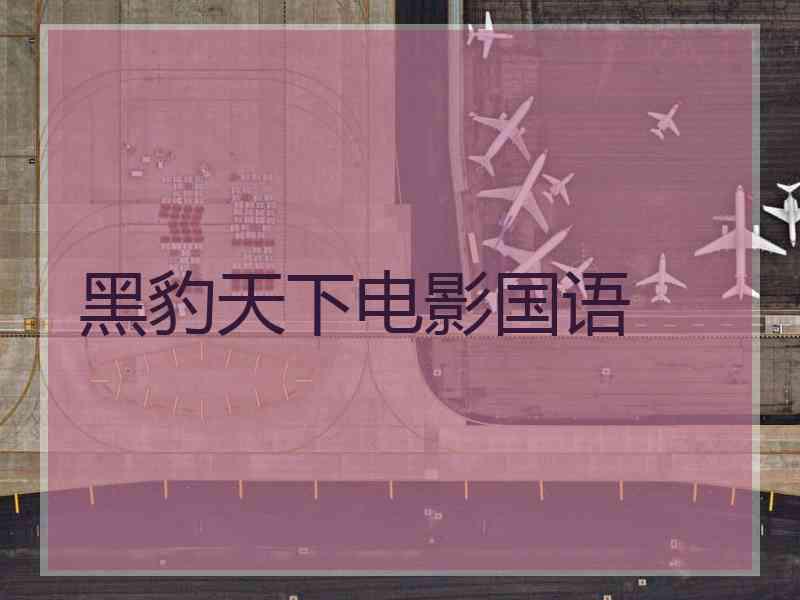 黑豹天下电影国语