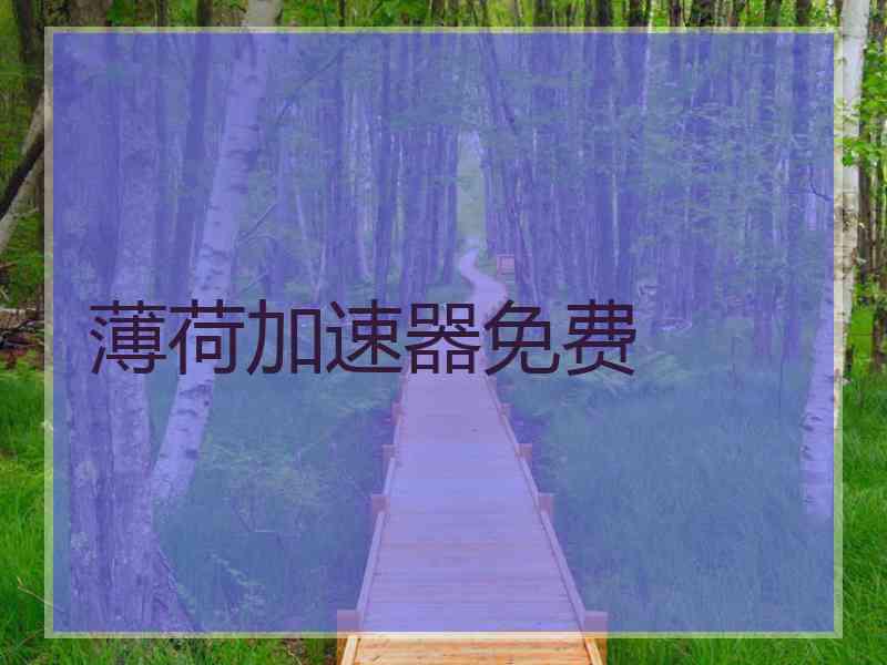 薄荷加速器免费