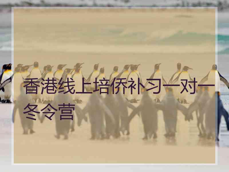 香港线上培侨补习一对一冬令营
