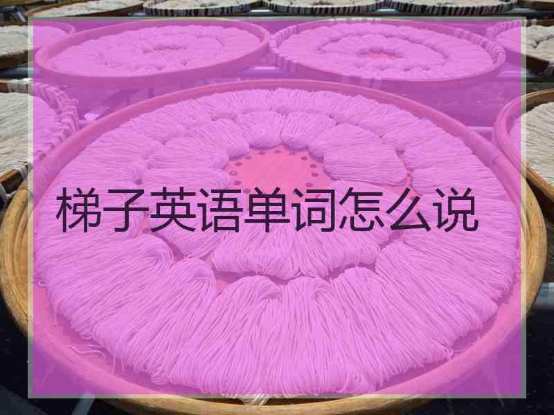 梯子英语单词怎么说