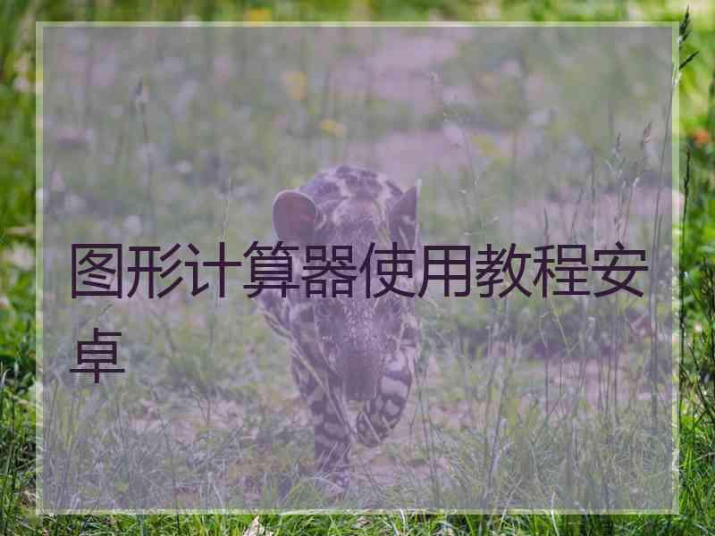 图形计算器使用教程安卓