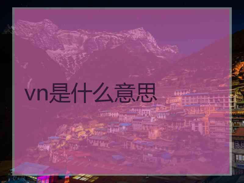 vn是什么意思
