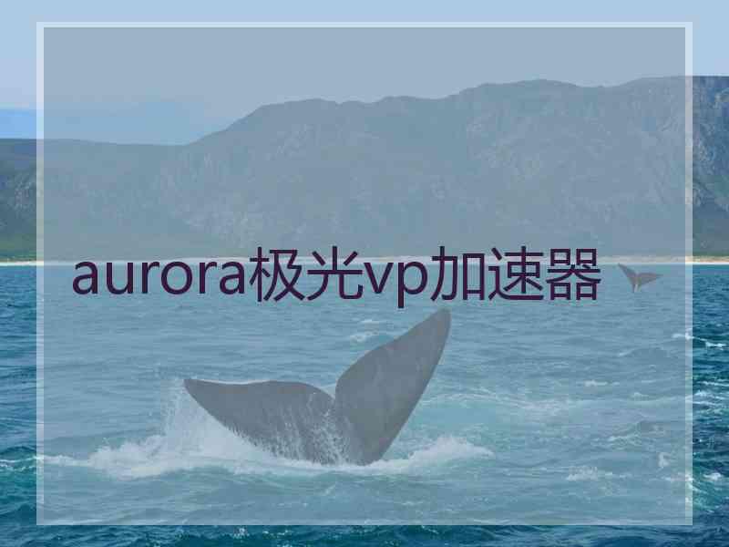 aurora极光vp加速器