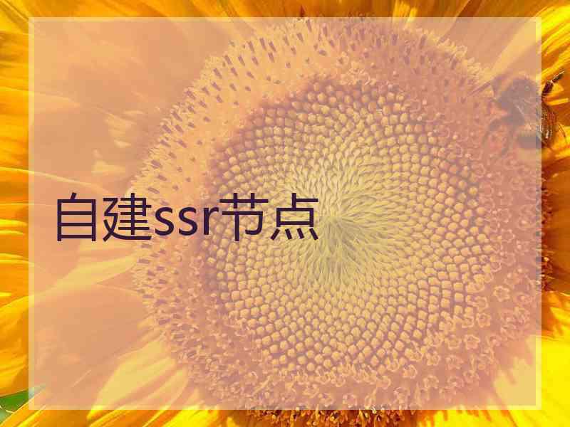 自建ssr节点