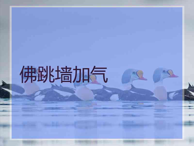 佛跳墙加气