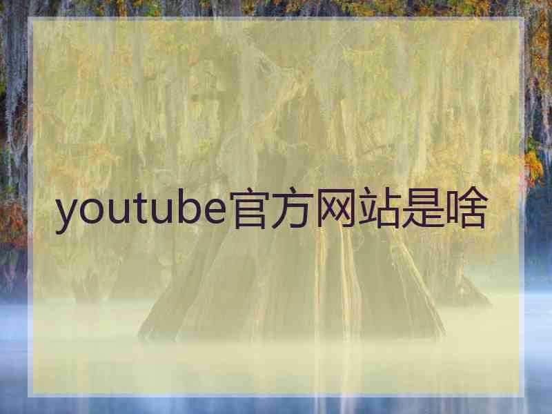youtube官方网站是啥