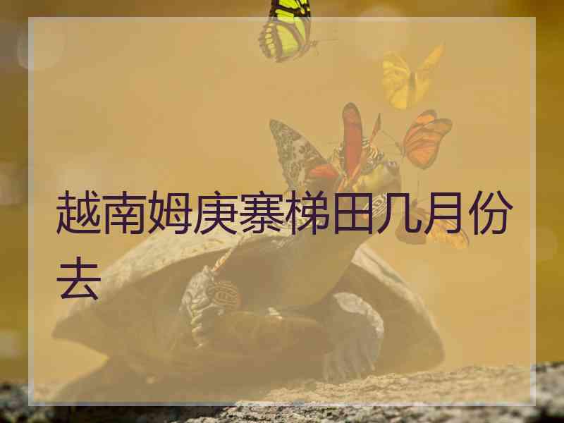 越南姆庚寨梯田几月份去