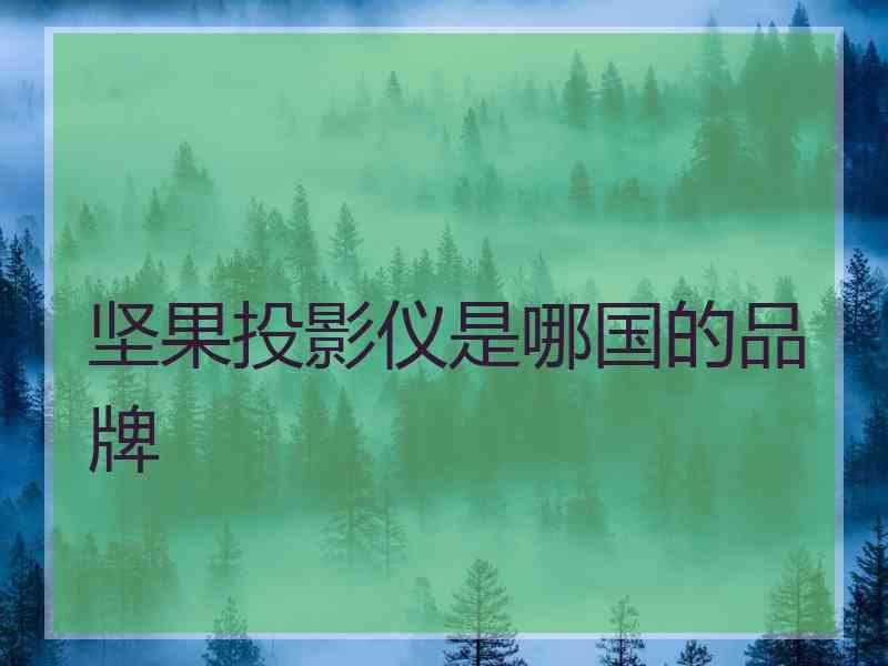 坚果投影仪是哪国的品牌