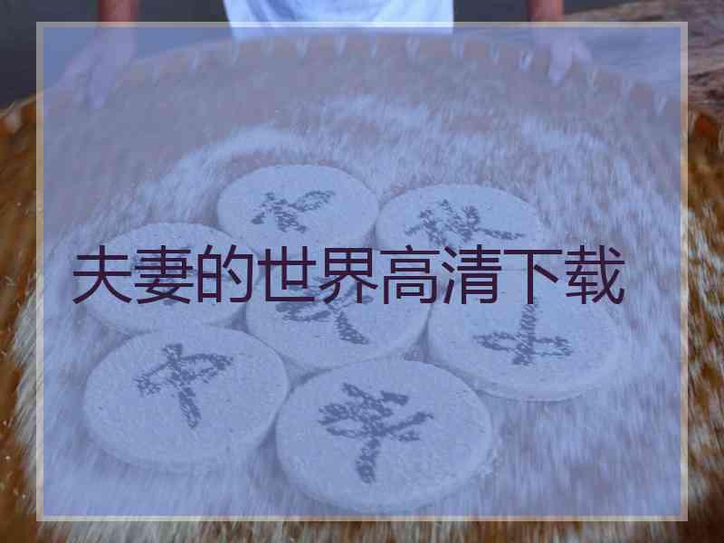 夫妻的世界高清下载