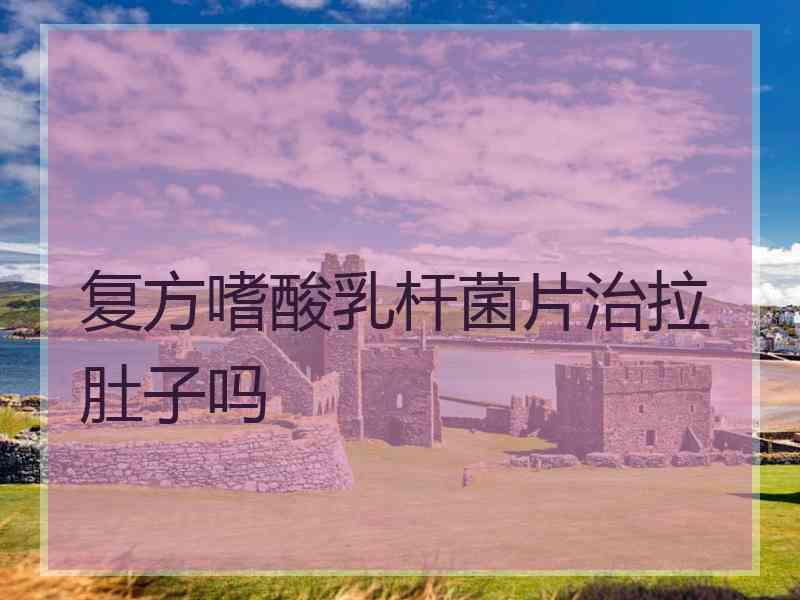复方嗜酸乳杆菌片治拉肚子吗