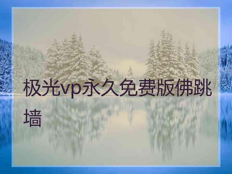 极光vp永久免费版佛跳墙