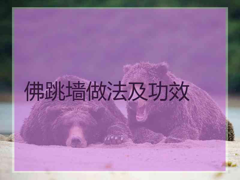 佛跳墙做法及功效