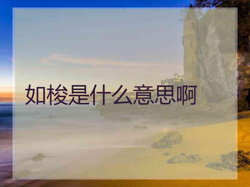 如梭是什么意思啊