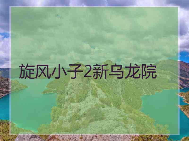 旋风小子2新乌龙院