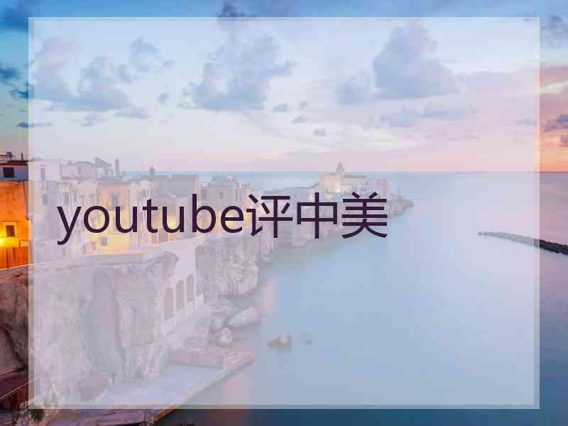 youtube评中美