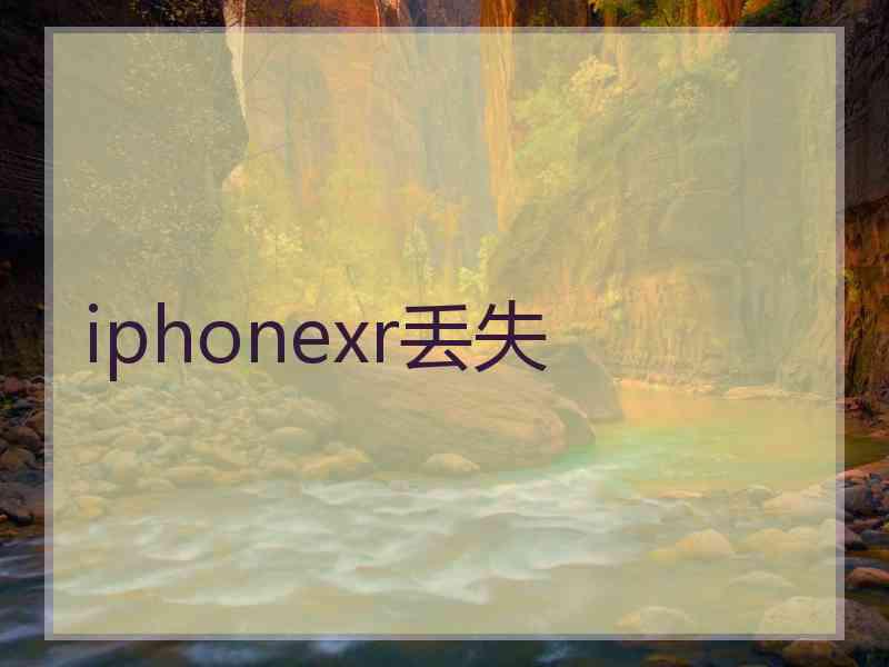 iphonexr丢失