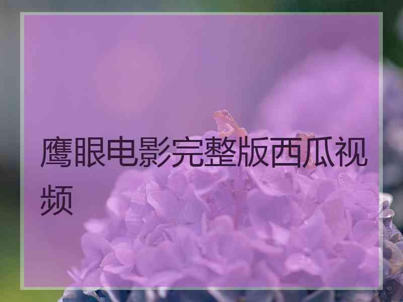 鹰眼电影完整版西瓜视频