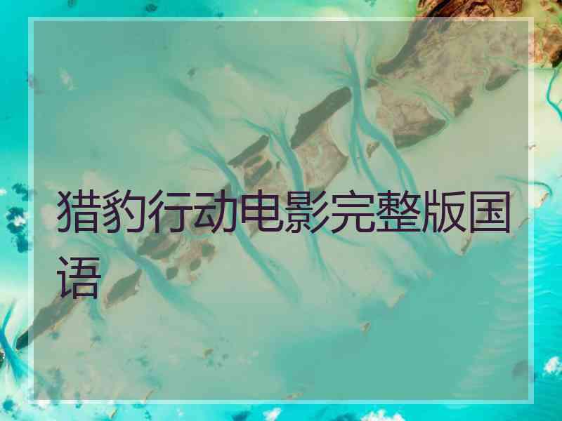 猎豹行动电影完整版国语