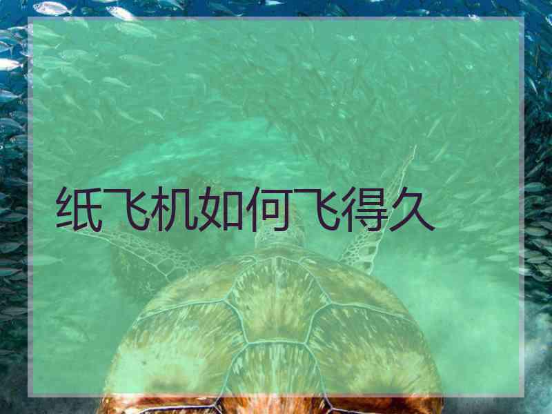 纸飞机如何飞得久