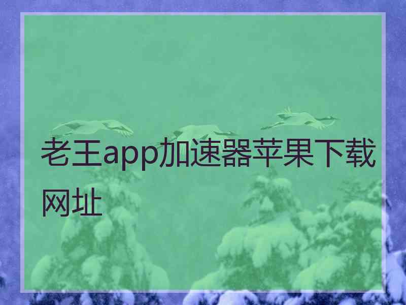 老王app加速器苹果下载网址