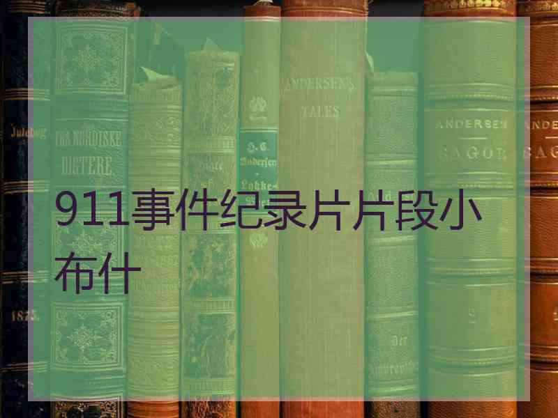 911事件纪录片片段小布什