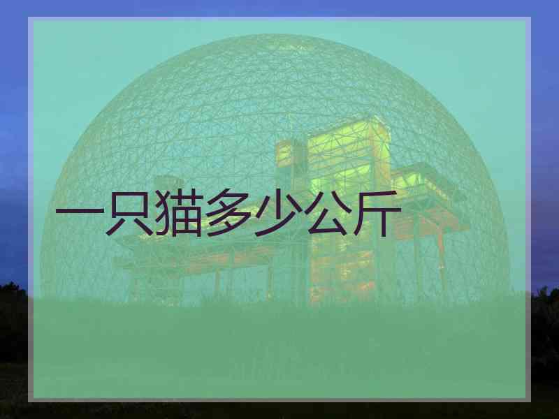 一只猫多少公斤