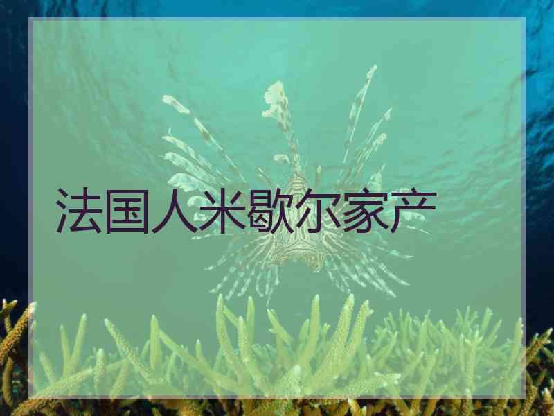 法国人米歇尔家产