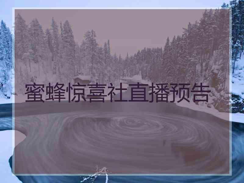蜜蜂惊喜社直播预告