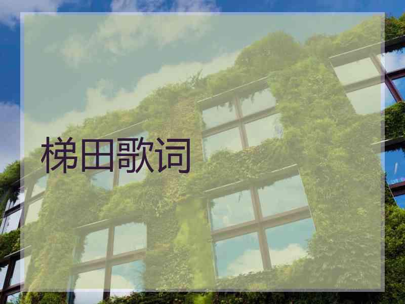 梯田歌词
