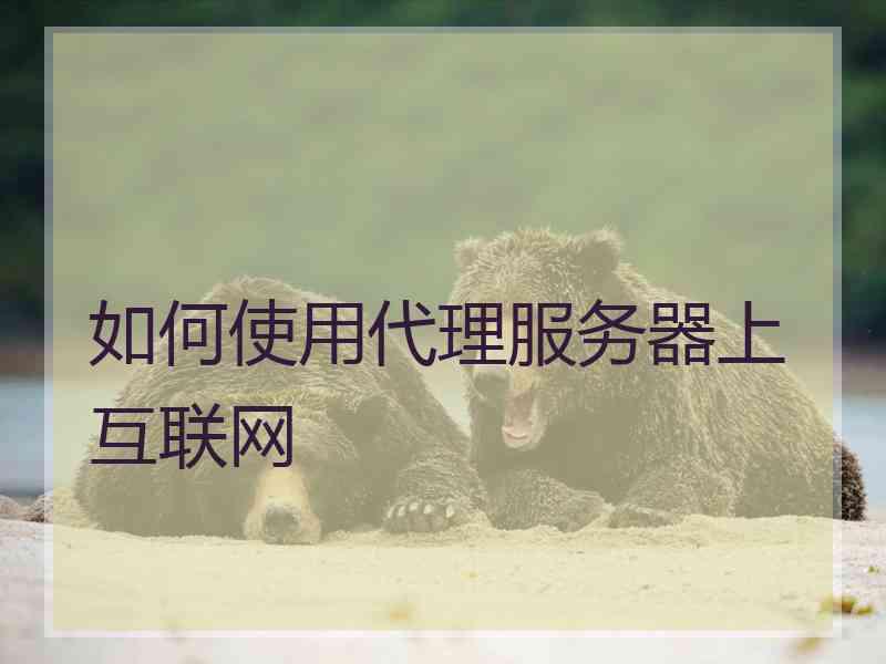 如何使用代理服务器上互联网