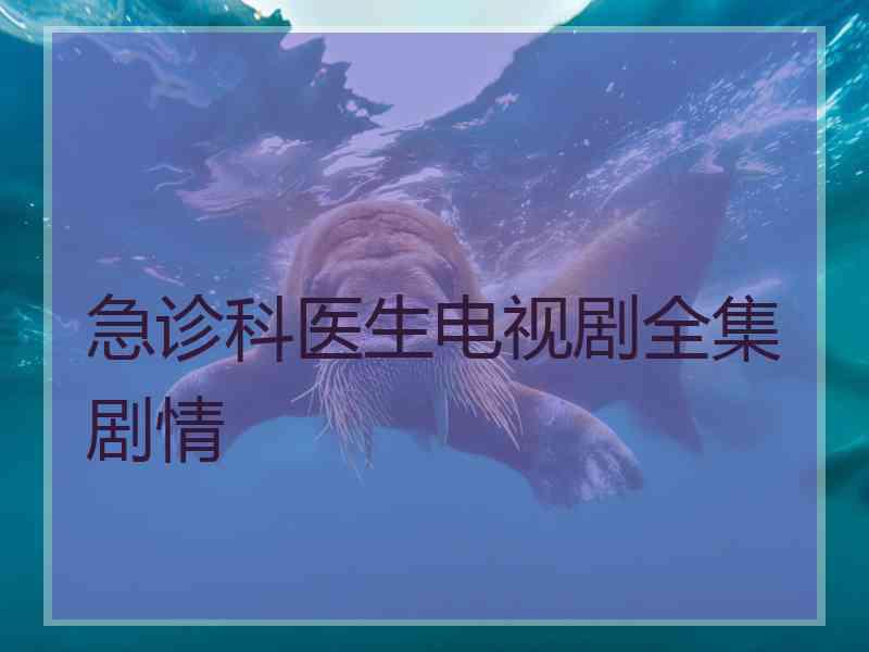 急诊科医生电视剧全集剧情
