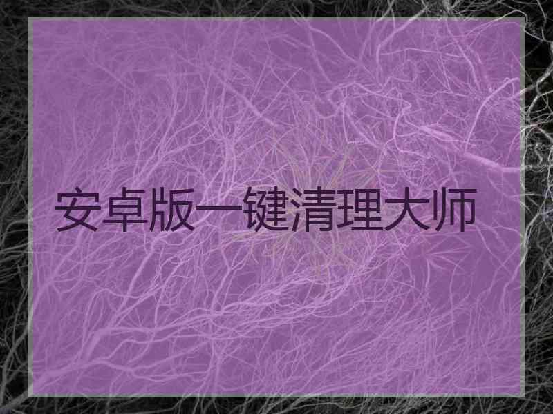 安卓版一键清理大师