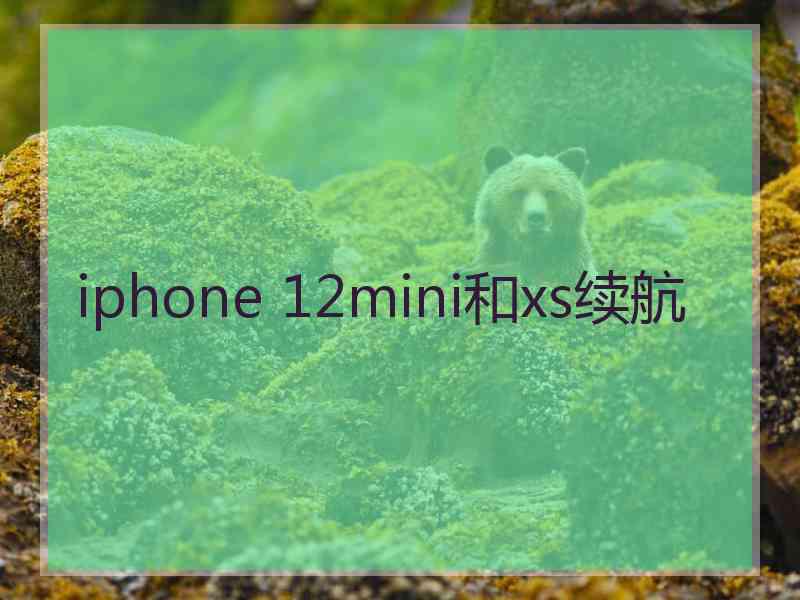 iphone 12mini和xs续航