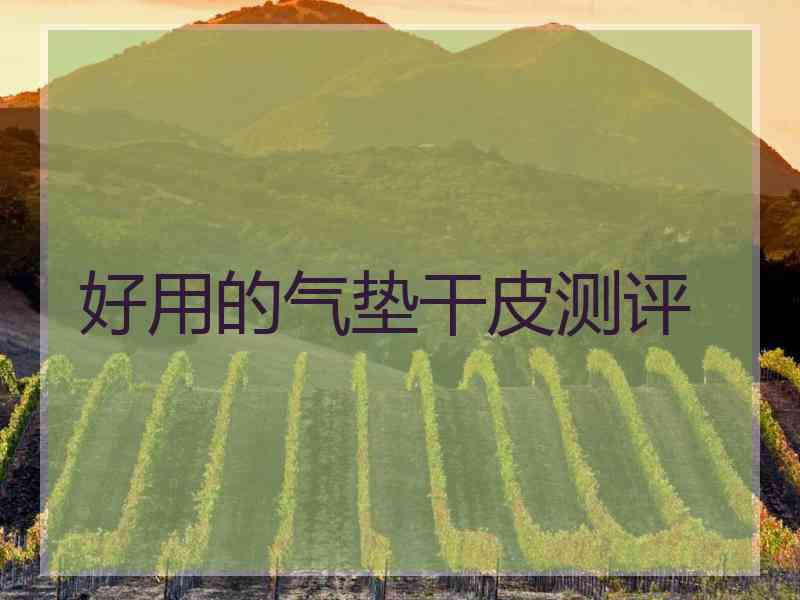 好用的气垫干皮测评
