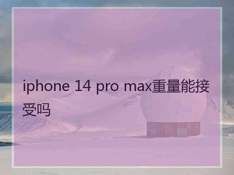 iphone 14 pro max重量能接受吗
