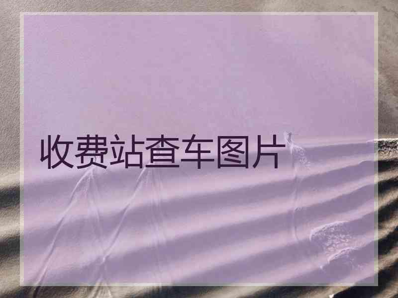 收费站查车图片