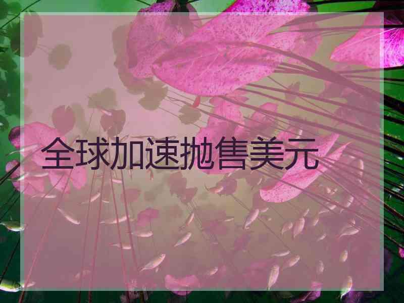 全球加速抛售美元