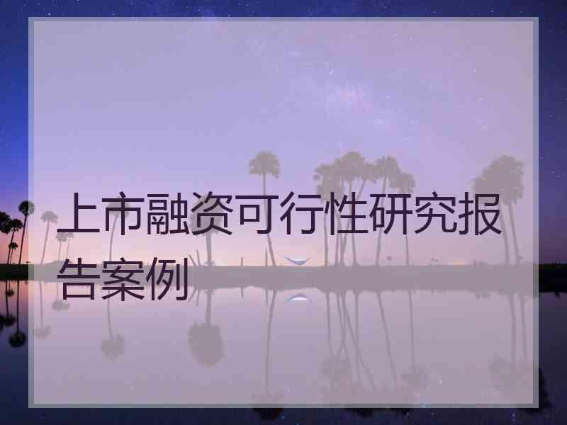 上市融资可行性研究报告案例