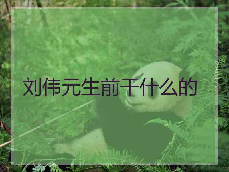 刘伟元生前干什么的