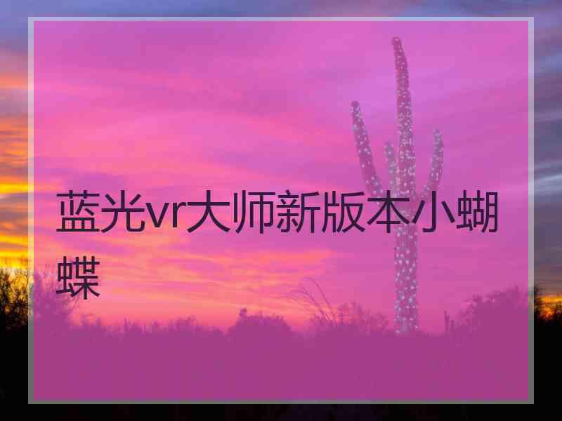蓝光vr大师新版本小蝴蝶