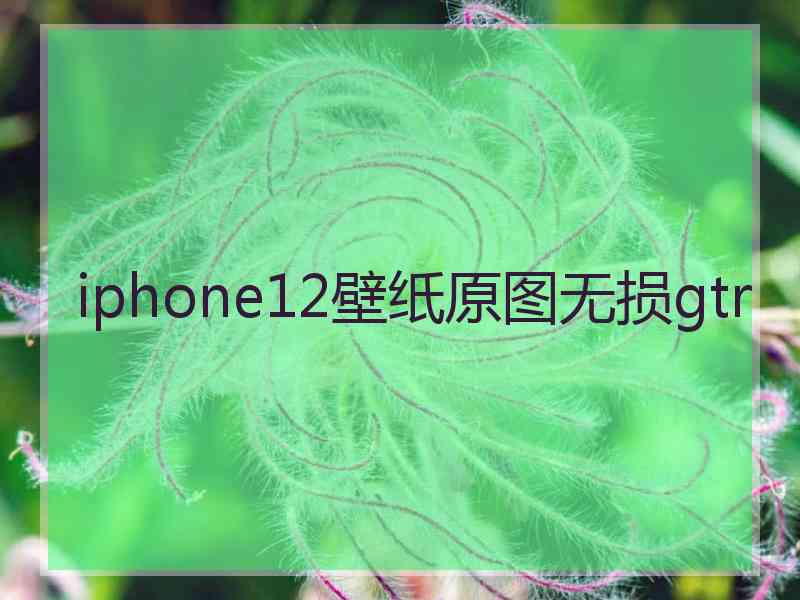 iphone12壁纸原图无损gtr